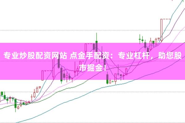 专业炒股配资网站 点金手配资：专业杠杆，助您股市掘金！
