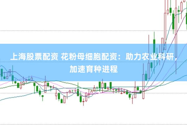 上海股票配资 花粉母细胞配资：助力农业科研，加速育种进程