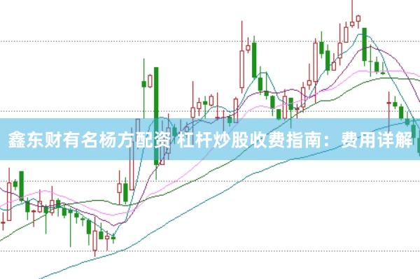 鑫东财有名杨方配资 杠杆炒股收费指南：费用详解