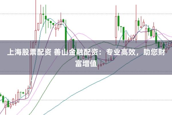 上海股票配资 善山金融配资：专业高效，助您财富增值