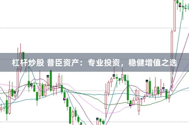 杠杆炒股 普臣资产：专业投资，稳健增值之选