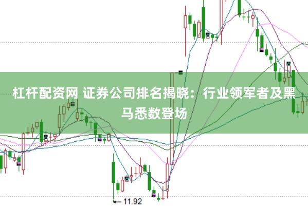 杠杆配资网 证券公司排名揭晓：行业领军者及黑马悉数登场