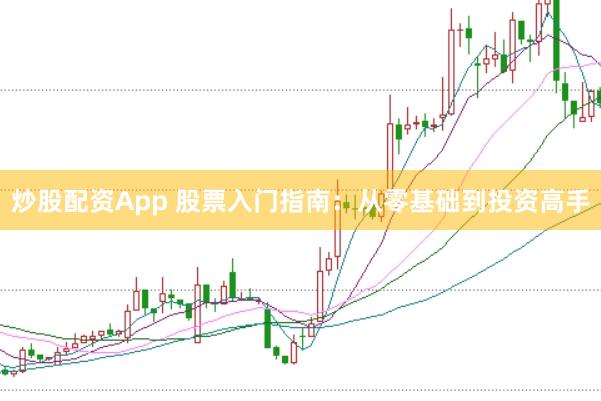 炒股配资App 股票入门指南：从零基础到投资高手