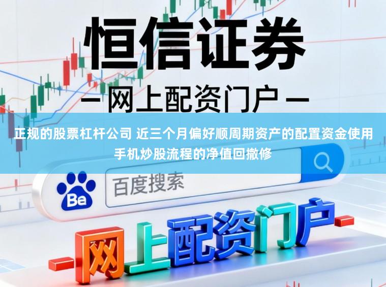 正规的股票杠杆公司 近三个月偏好顺周期资产的配置资金使用手机炒股流程的净值回撤修